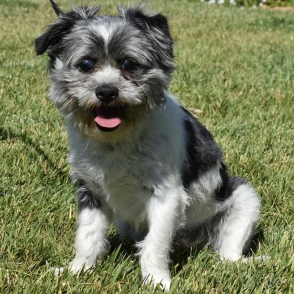 Meet your Posher and her crew! - Picture 1 of 5